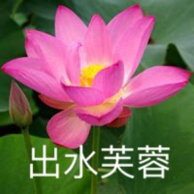 九游飘渺西游官方版下载